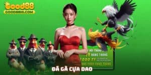 Đá Gà Cựa Dao Good88